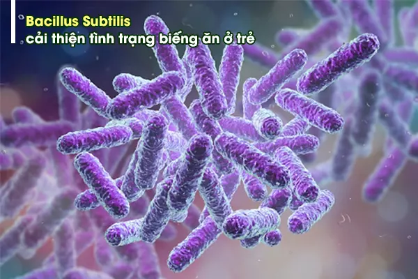 bacillus-subtilis-giup-cai-thien-tinh-trang-bieng-an-o-tre.webp
