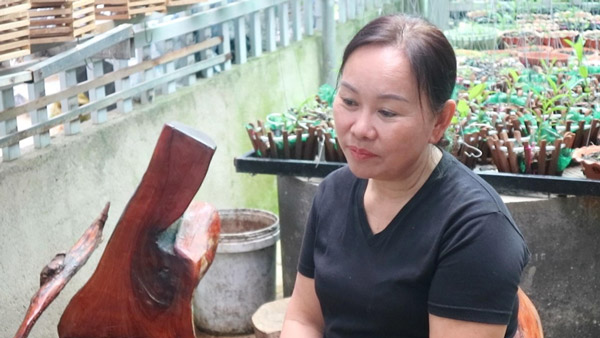 Ù tai, đau tai, ngứa tai hơn 20 năm, cô Hường chia sẻ cách cải thiện