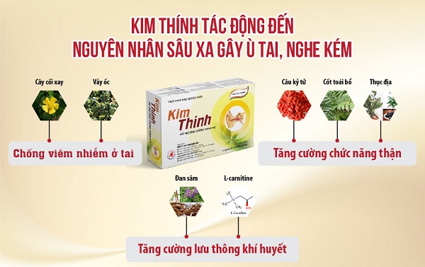 kim-thinh-giup-tac-dong-den-nhieu-nguyen-nhan-gay-u-tai