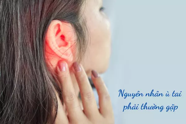 Có nhiều nguyên nhân gây ra tình trạng ù tai