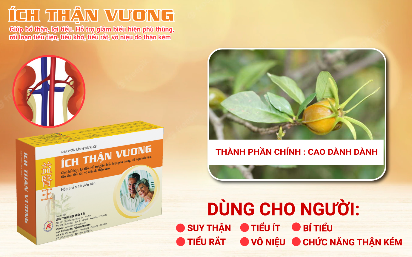 Ích Thận Vương giúp hỗ trợ điều trị bệnh thận, suy thận