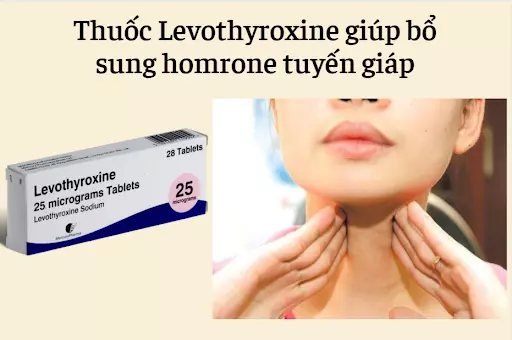 Levothyroxin-la-thuoc-thuong-duoc-su-dung-de-dieu-tri-suy-giap.webp