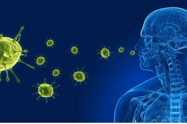 Khi bị viêm đương hô hấp cần xác định nguyên nhân do vi khuẩn hay virus