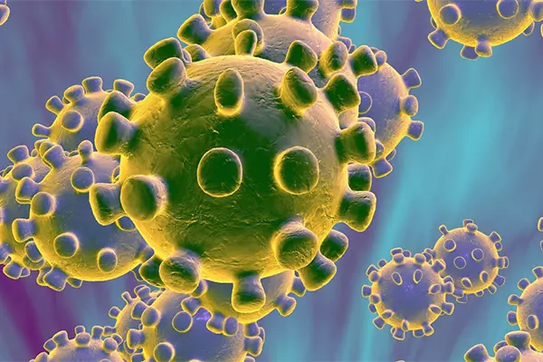 Virus, vi khuẩn là tác nhân gây viêm họng