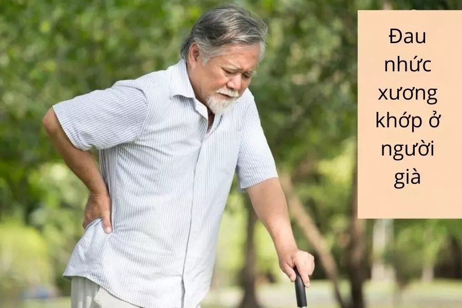 Bệnh đau nhức xương khớp phổ biến ở người già