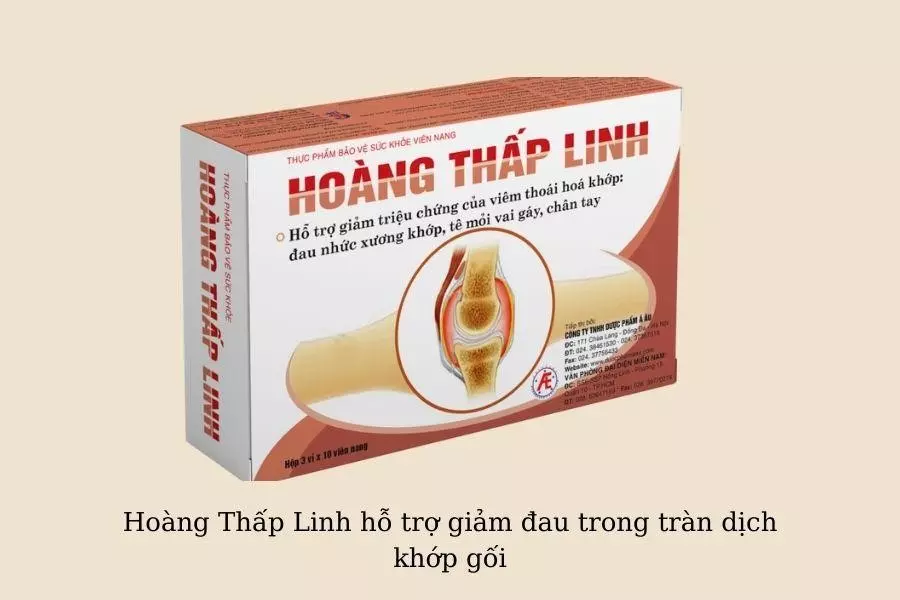 Hoang-Thap-Linh-Ban-dong-hanh-cua-nguoi-bi-tran-dich-khop-goi
