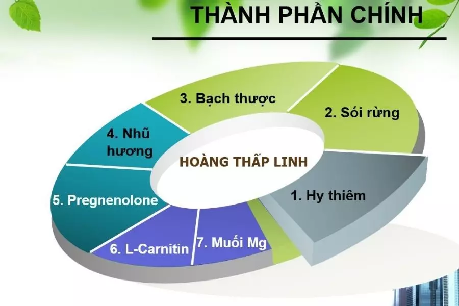Hoang-Thap-Linh-gom-nhieu-thanh-phan-hiep-dong-tac-dung-cai-thien-cac-benh-khop-goi