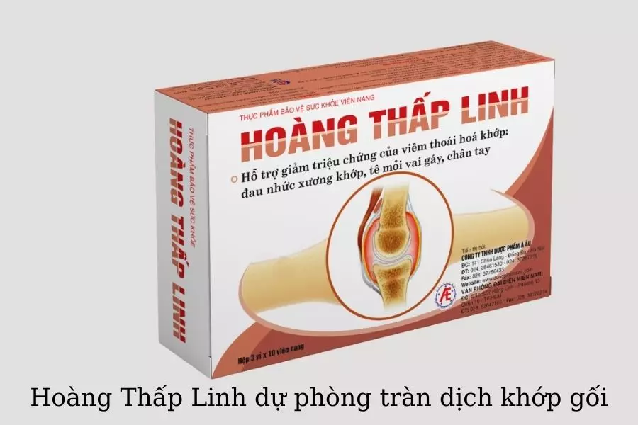 Hoang-Thap-Linh-Giai-phap-tu-thien-nhien-giup-ho-tro-cai-thien-va-du-phong-tran-dich-khop-goi