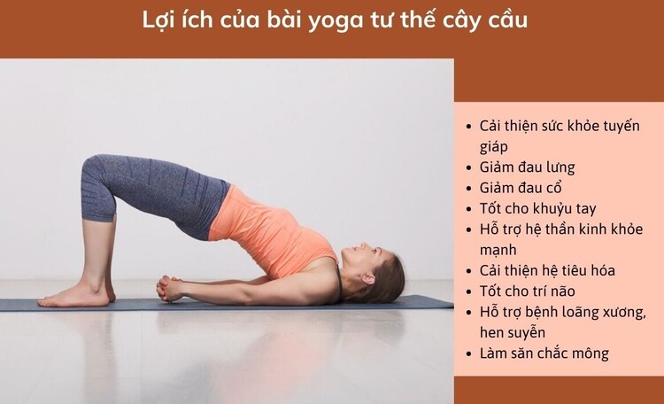 Bài tập yoga tư thế cây cầu làm giảm các cơn đau thắt lưng và cổ hiệu quả