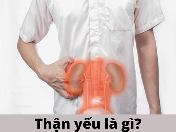 Thận yếu là tình trạng thận bị suy giảm chức năng thận do nhiều nguyên nhân gây ra
