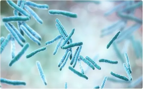 Vi-khuan-Mycobacterium-tuberculosis-chinh-la-tac-nhan-gay-benh-lao-than.webp