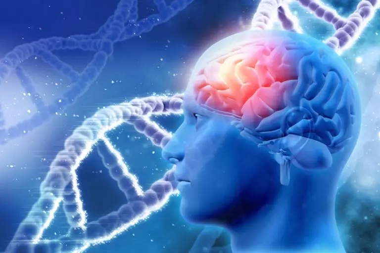 Gen di truyền có thể ảnh hưởng đến các yếu tố nguy cơ của đột quỵ