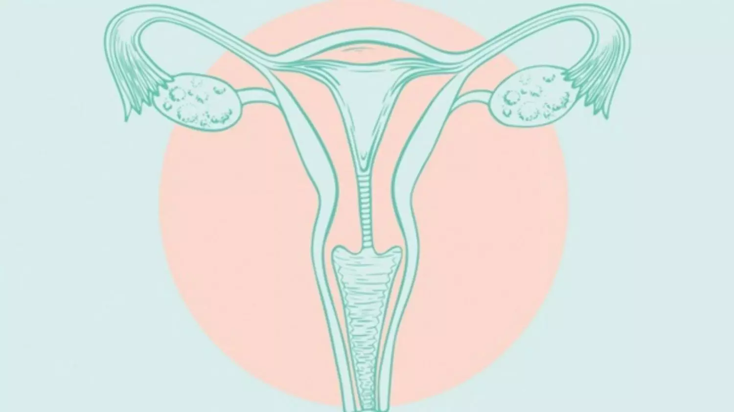 Buồng trứng có vai trò quan trọng đối với sức khỏe phụ nữ