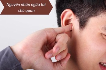 Nguyên nhân gây ngứa tai và các cách khắc phục hiệu quả