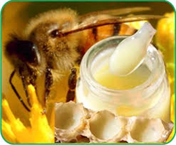 U tuyến giáp có uống được sữa ong chúa không? Câu trả lời được BẬT MÍ