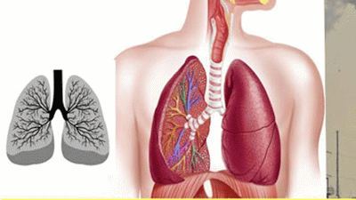 Giải đáp thắc mắc: Bệnh lao phổi được điều trị trong bao lâu?