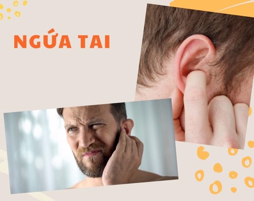 Những bệnh lý gây ngứa tai và cách khắc phục tại nhà