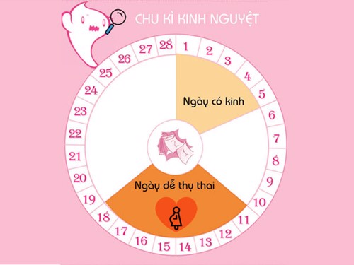 Bệnh tuyến giáp có ảnh hưởng đến chu kỳ kinh nguyệt không?