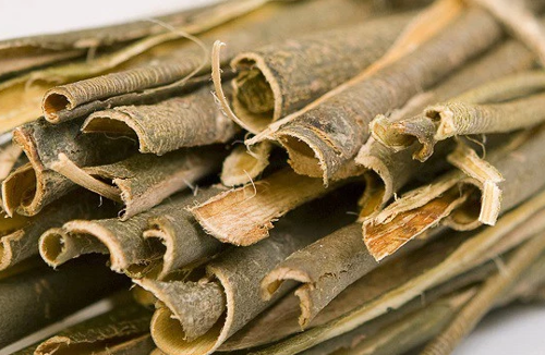 Nghiên cứu chiết xuất vỏ cây Liễu giúp làm giảm đáng kể cơn đau bụng kinh