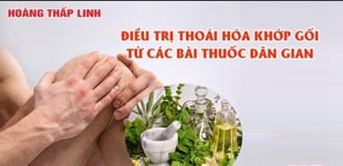 Note ngay 5 bài thuốc dân gian chữa thoái hóa khớp gối hiệu quả. Cách cải thiện hiệu quả từ thảo dược