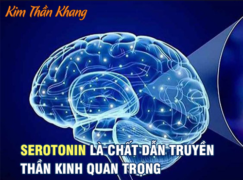 TIÊU CHÍ CHỌN THỰC PHẨM CHỨC NĂNG CHO NGƯỜI HAY MỆT MỎI