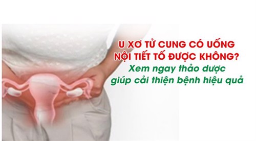 Bị u xơ tử cung có nên uống thuốc nội tiết tố không?